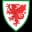 Wales U19